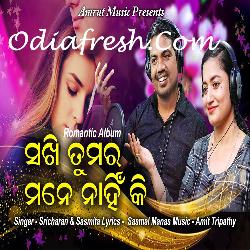 Sakhi Tamara Mane Nahik